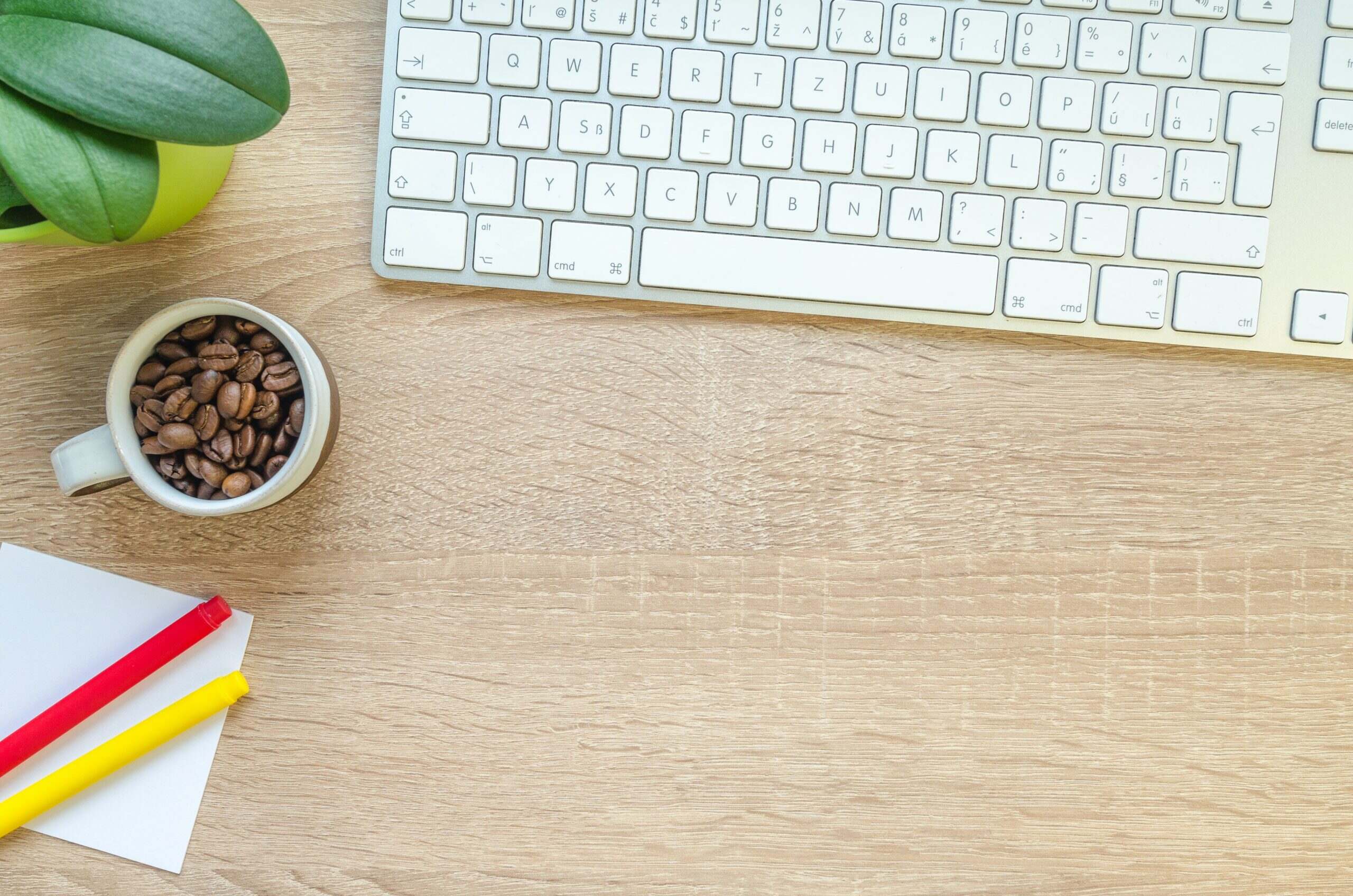 Un clavier et un café : tout ce qu'il faut pour devenir développeur.